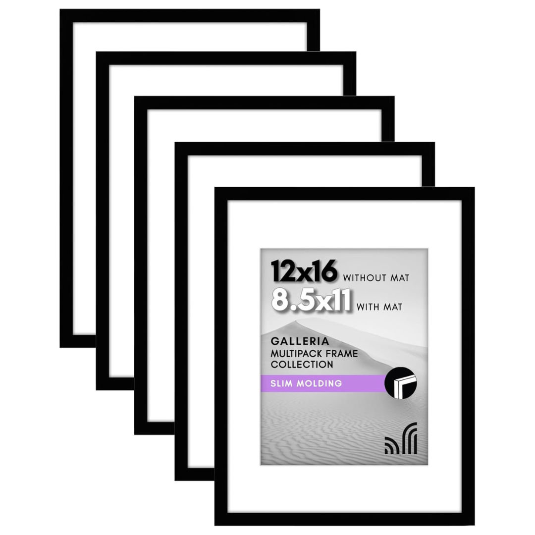 Set of 5 16" x 12" Picture Frames W/Polished Plexiglass