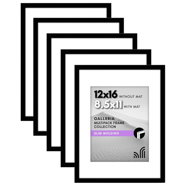 Set of 5 16" x 12" Picture Frames W/Polished Plexiglass