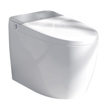 LEIVI Smart Bidet Toilet with Built-in Bidet Seat Tankless Toilet