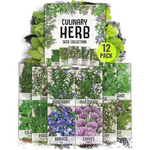 12-Pack Seed Needs Herb Seeds Variety
