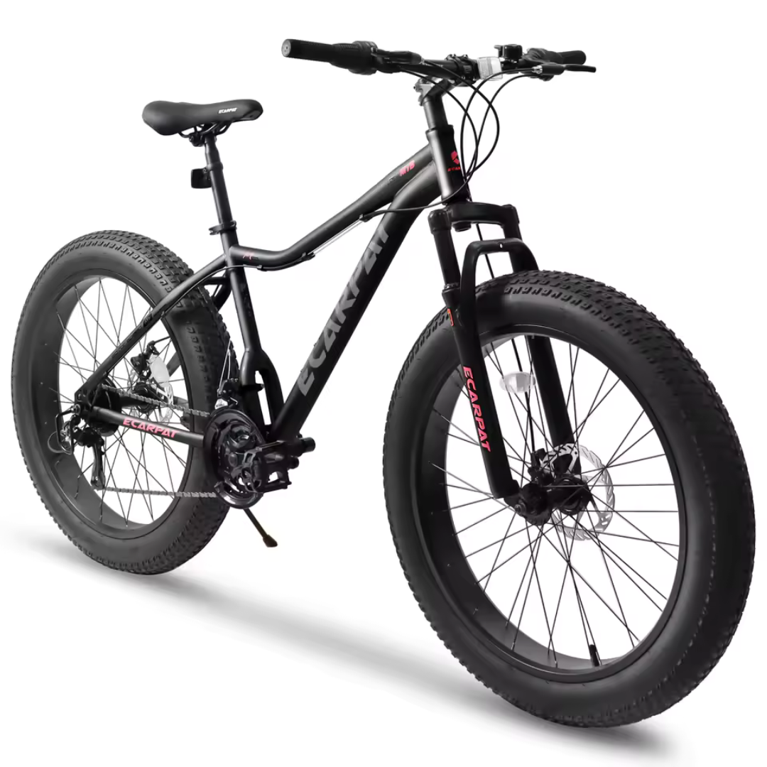 Ecarpat 26" Steel Frame Snow Mountain Bike with Disc Brake