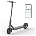 Roinside Foldable Commuter Electric Scooter