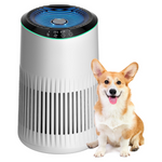 High-efficiency Small Air Purifier W/ Fragrance Sponge