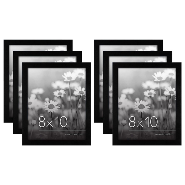 Set Of 6 Americanflat 8x10 Picture Frames With Polished Plexiglass