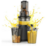 Aorda Slow Cold Pressed Masticating Compact Juicer Machines
