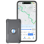 Wanwaytech Hidden Tracking Devices For Cars