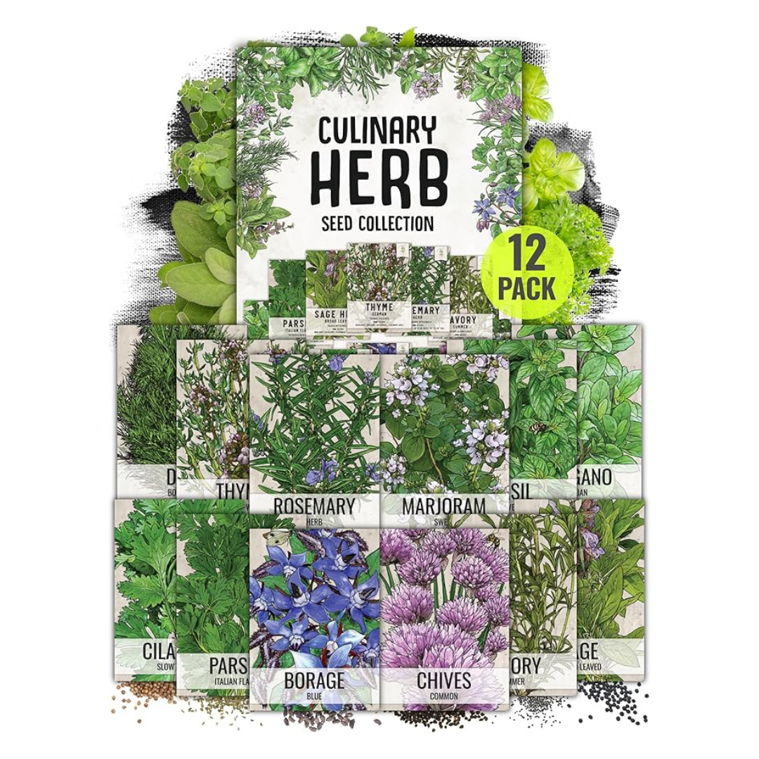 12-Pack Seed Needs Herb Seeds Variety
