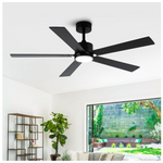 Whose Lamp 52" Ceiling Fans With Lights & Remote