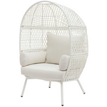 Better Homes & Gardens Ventura Steel Stationary Wicker Egg Chair
