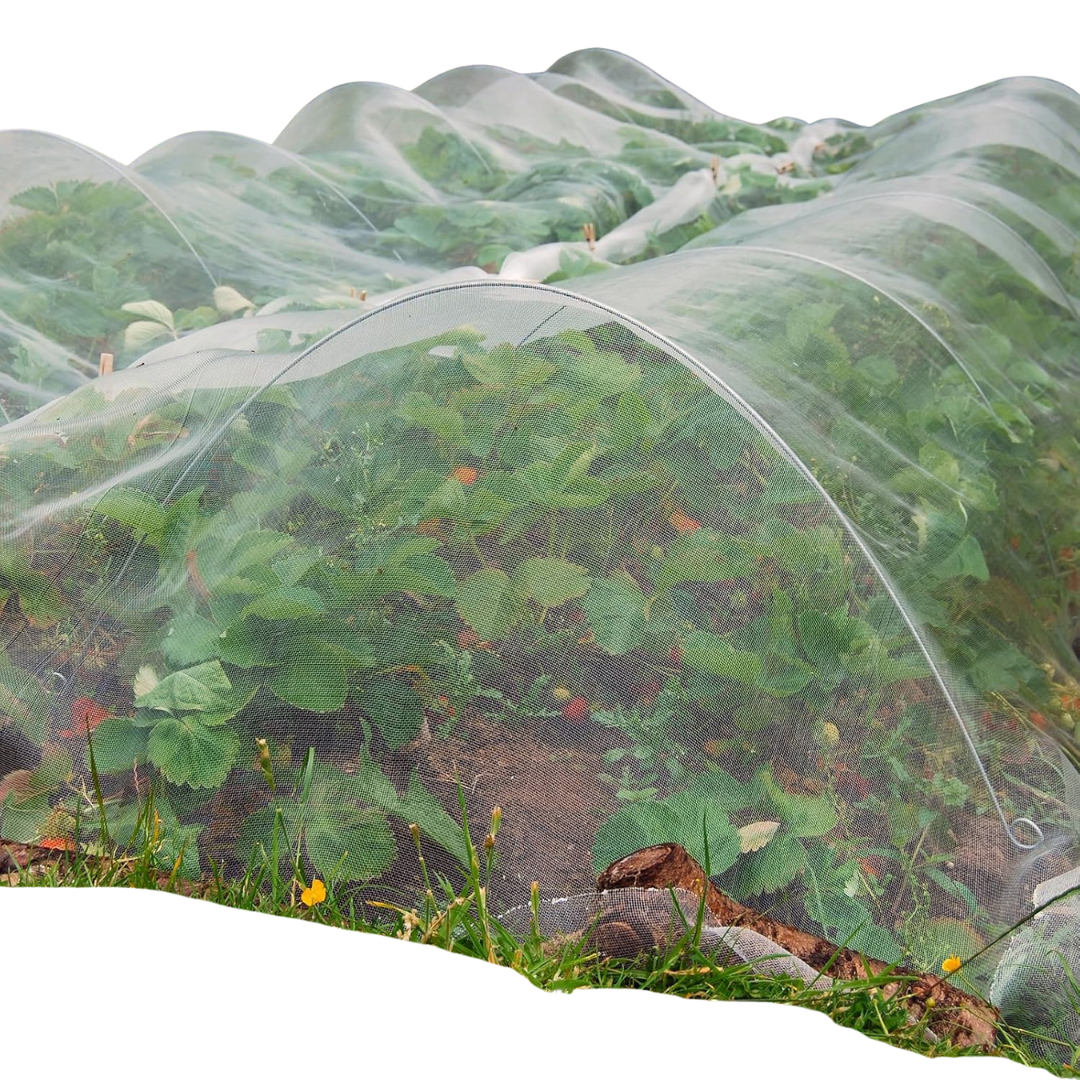 10 x 33ft Garden Netting Pest Barrier