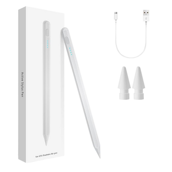 2X Fast Charge Stylus Pen For iPad 7-11th A16 Generation