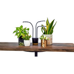 AeroGarden Trio Grow Light for Indoor Plants