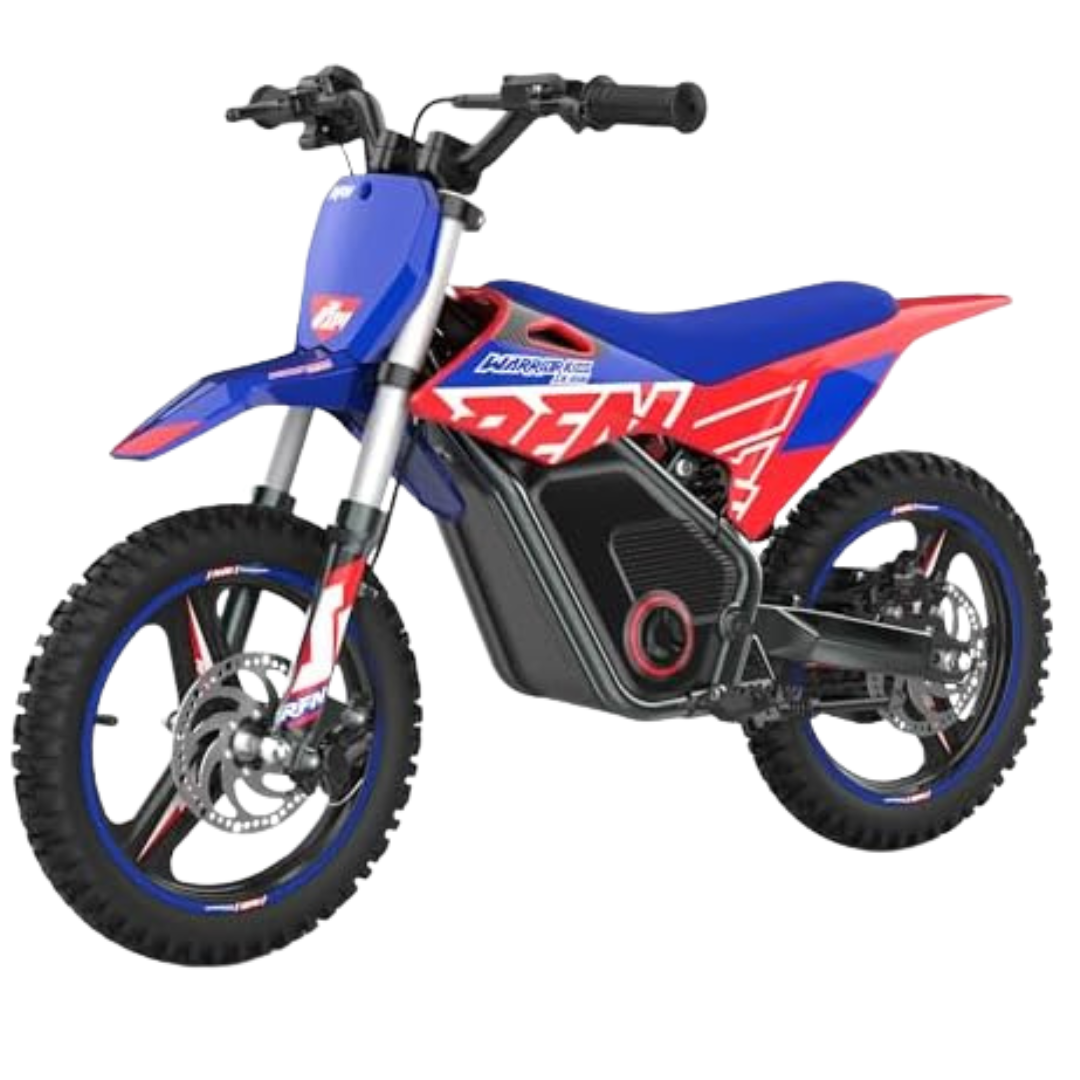 RFN Max Speed 700W 36V 3-Speed Electric Motorcycle