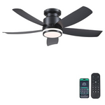 41" Ceiling Fan with Lights & Remote/APP Control