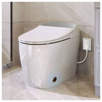 Smart One Piece Automatic Flush Tank Less Toilet
