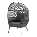 Better Homes & Garden Ventura Steel Stationary Outdoor Wicker Egg Chair