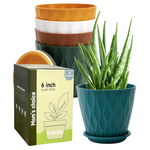 5-Pack 6" Indoor Planter Pots W/ Drainage Hole & Tray Saucer