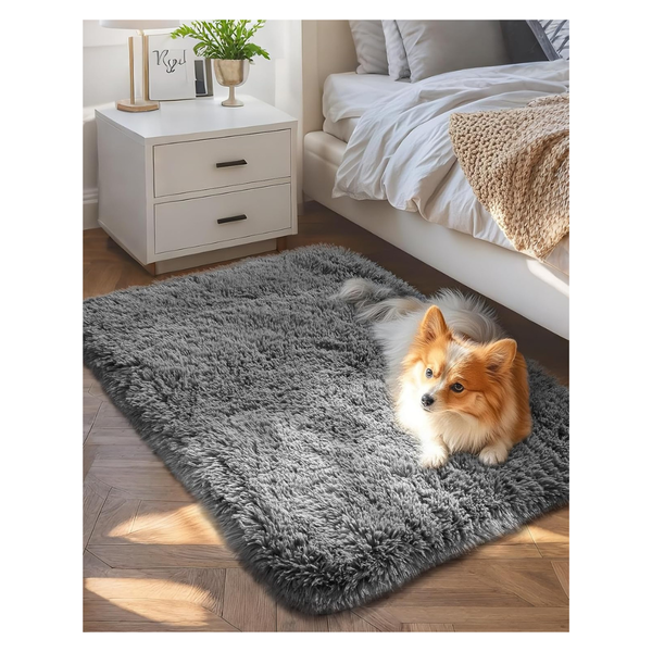 2'x3' Upgraded Non Slip Fluffy Soft Small Rug