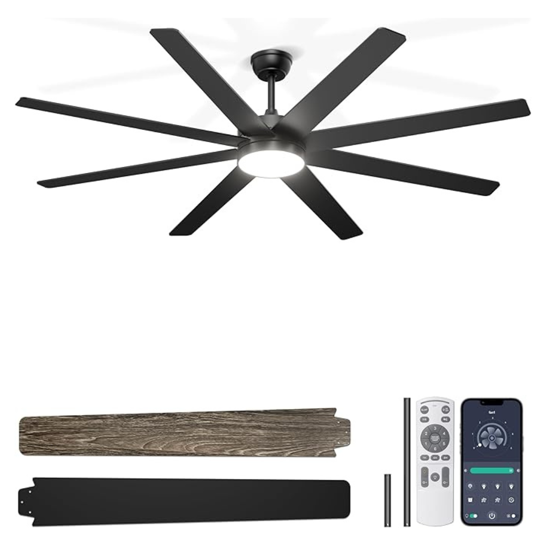 Phylluz 72 Dimmable Large Ceiling Fan with Lights