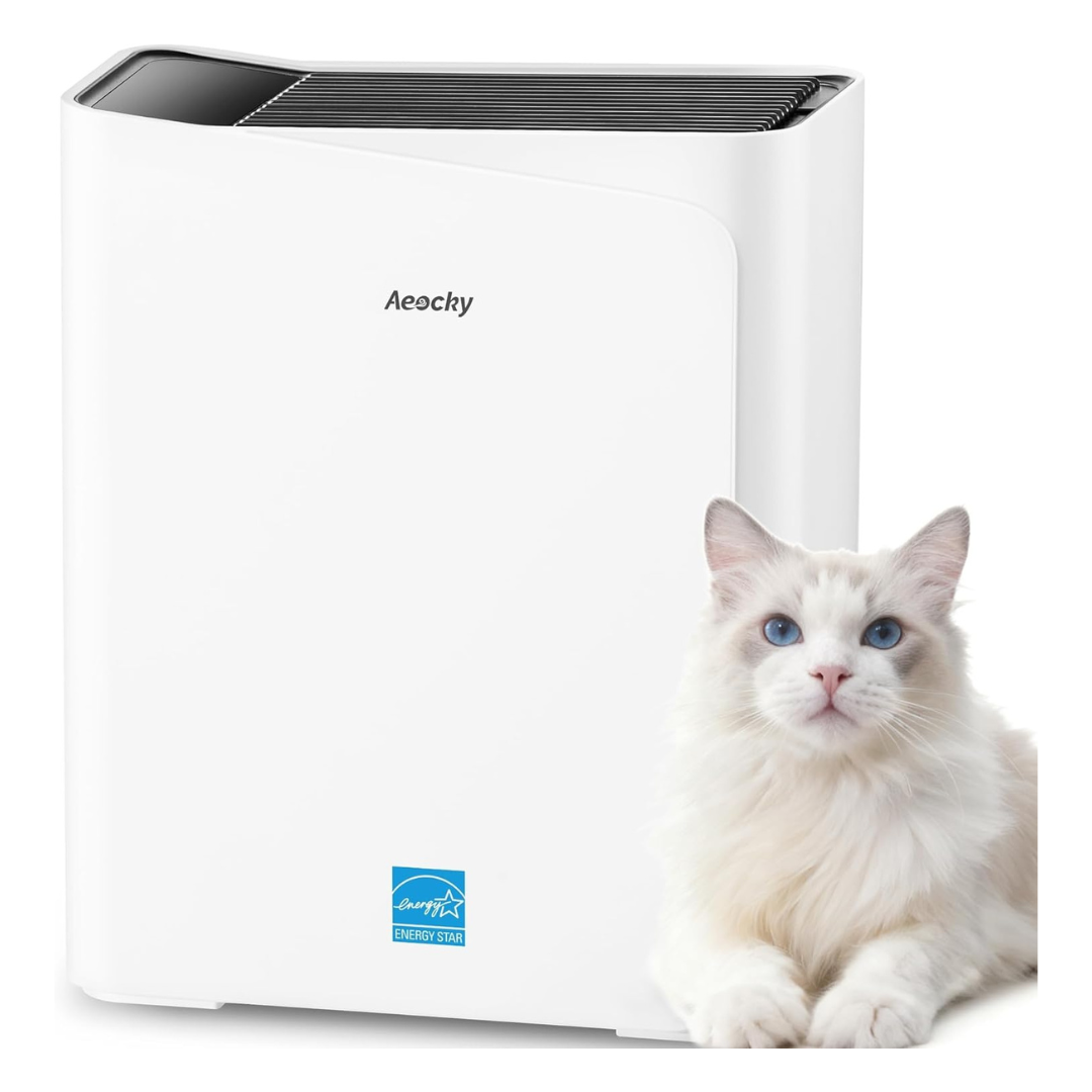 AEOCKY 2300 sq ft Air Purifier With YearChange Filter Technology