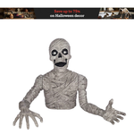 Up To 75% Off On Halloween Decor & Clothing Items At Tractor Supply Company