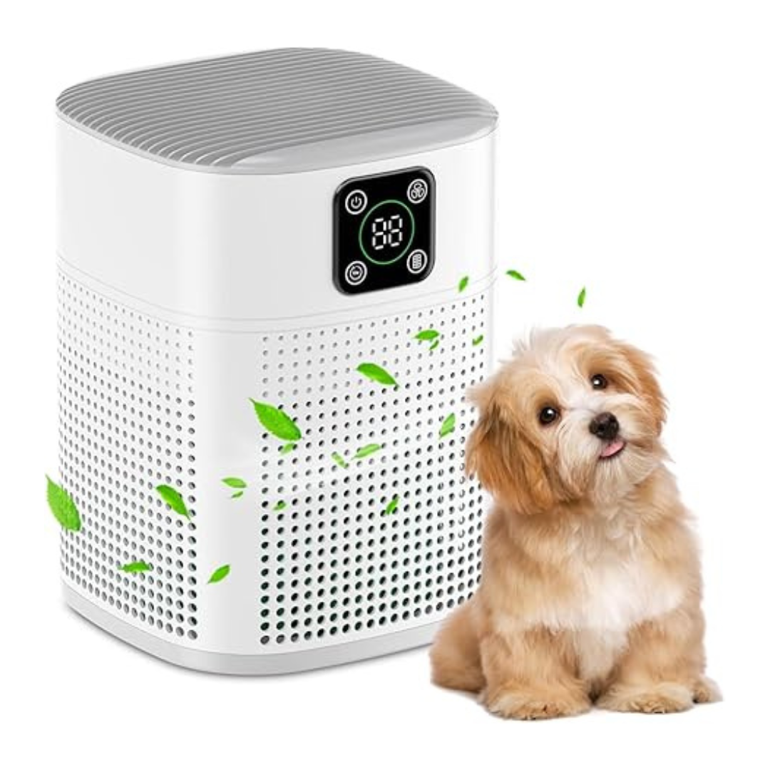 Honeyuan H13 HEPA Air Purifier for Home 600 sqft with 360Air Intake