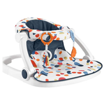 Fisher-Price Portable Baby Chair