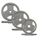 Fitvids Standard Cast Iron 1" Weight Plate Set (2.5/5/10LB)