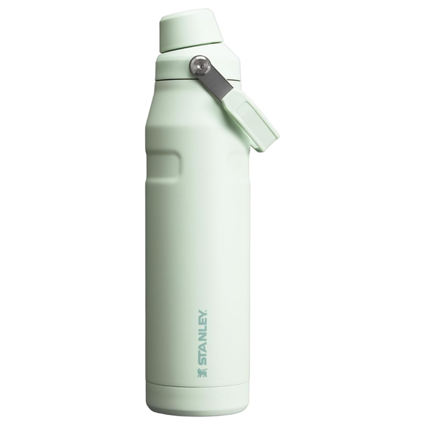 36-oz Stanley IceFlow Fast Flow Insulated Stainless Steel Water Bottle