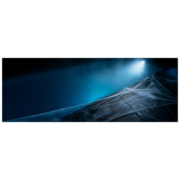 Up To 50% Off + 20% Off On Everything At Speedo USA