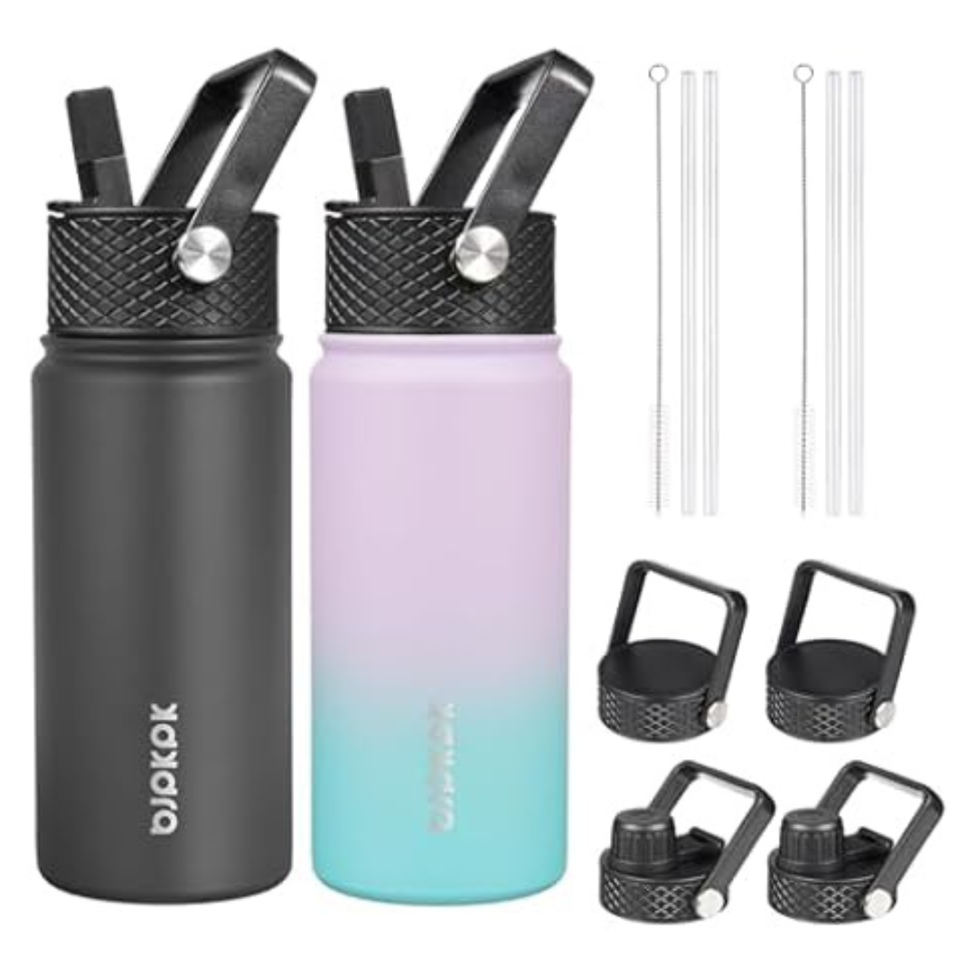 2-Pack 18-Oz Stainless Steel Insulated Water Bottles With Straw Lids