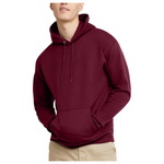 Hanes Men's EcoSmart Pullover Hooded Sweatshirt (Various)