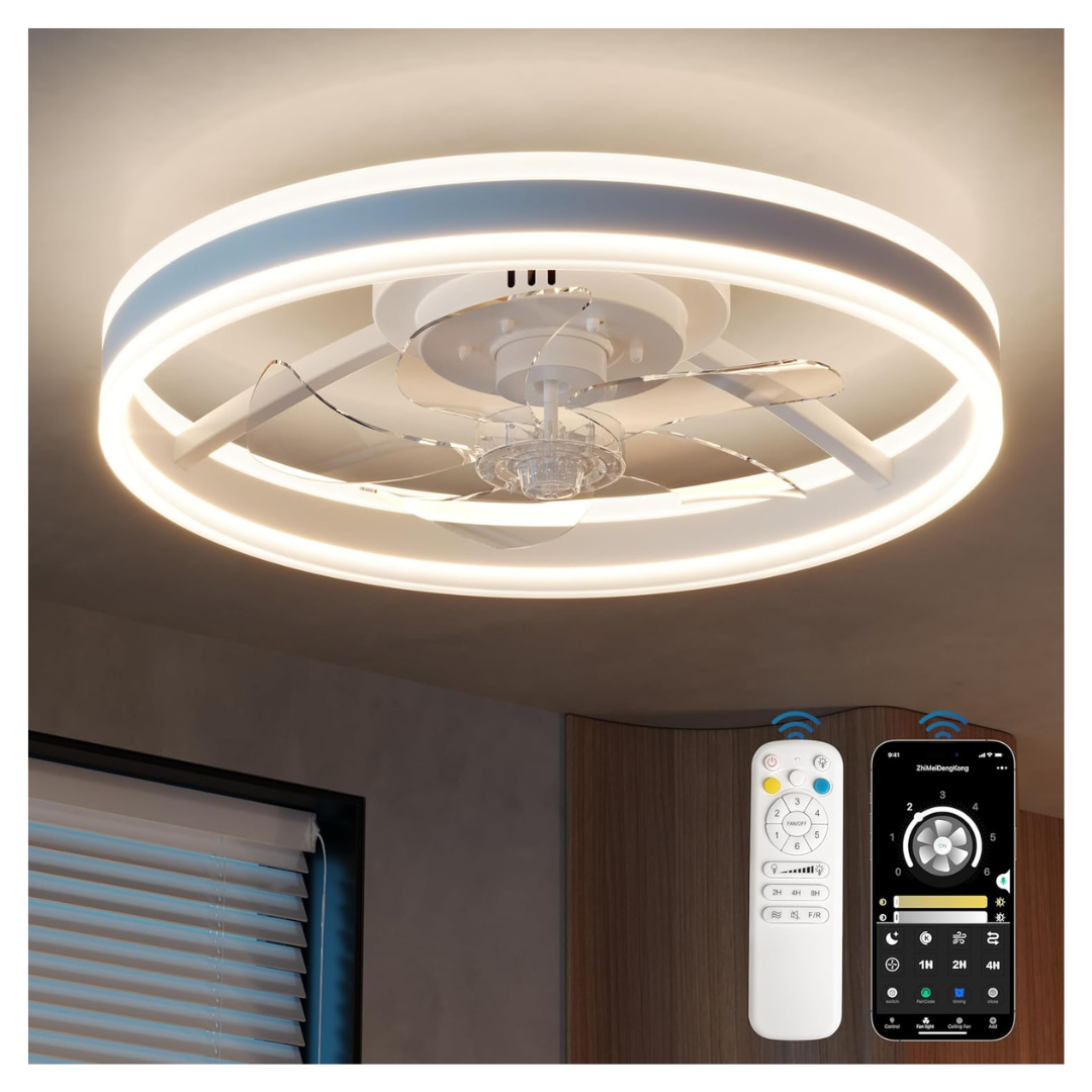 20" Ceiling Fan With Lights & Remote