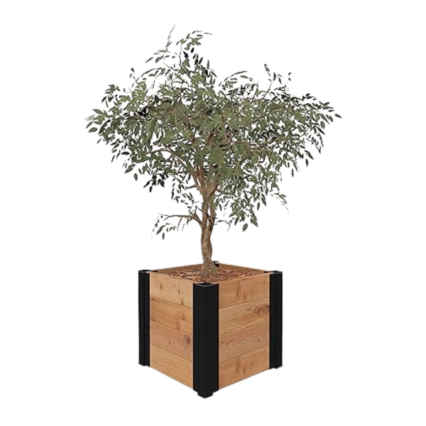 Vita Mezza 12" x 12" x 12" Cedar Cube Planter