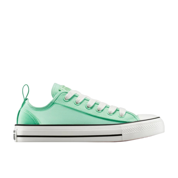 Converse Women's Chuck Taylor All Star Mesh Shoes