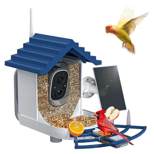 Solar Powered & AI Bird Identification Smart Bird Feeder With Camera