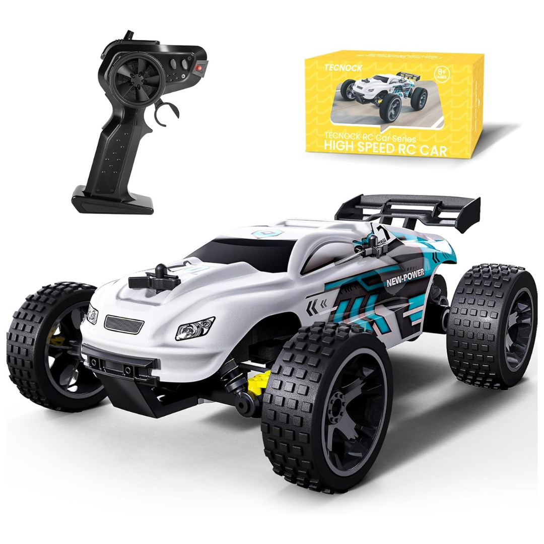 Tecnock 1:18 Scale 2WD Offroad Buggy 20 KM/H, 2.4GHz Racing Car