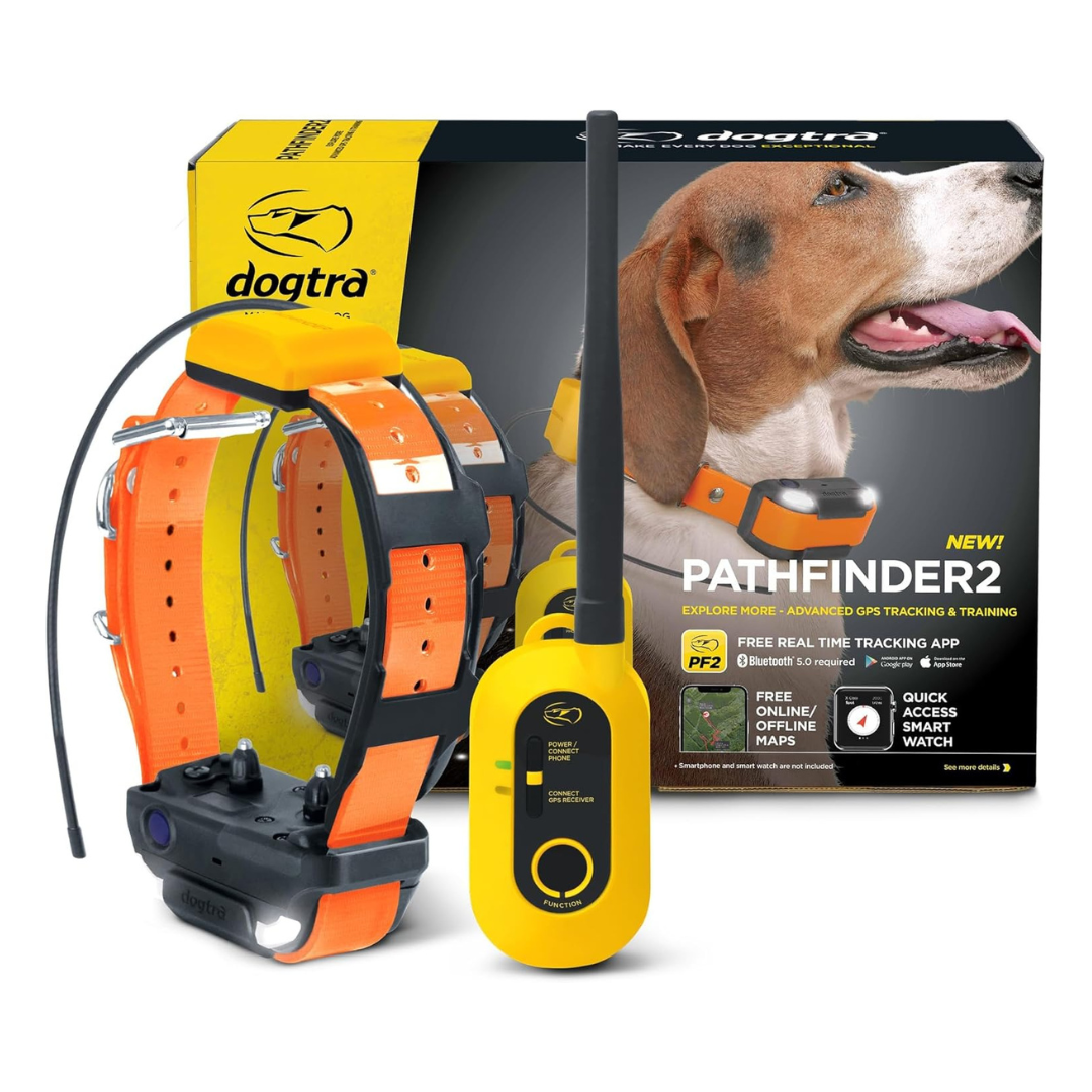 2-Pack Dogtra Pathfinder GPS Dog Tracker e Collar