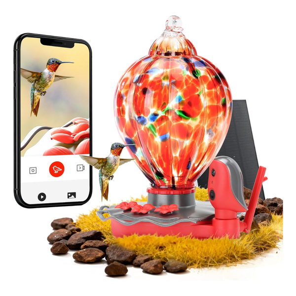 Smart Glass Hummingbird Feeder with 2K Camera and Solar Power (Pumkin)
