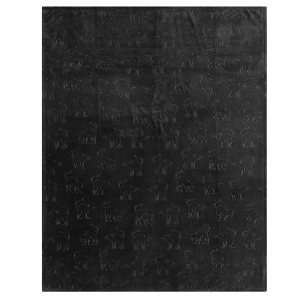 50" x 60" Ways to Celebrate Cozy Plush Throw Blanket (Various)