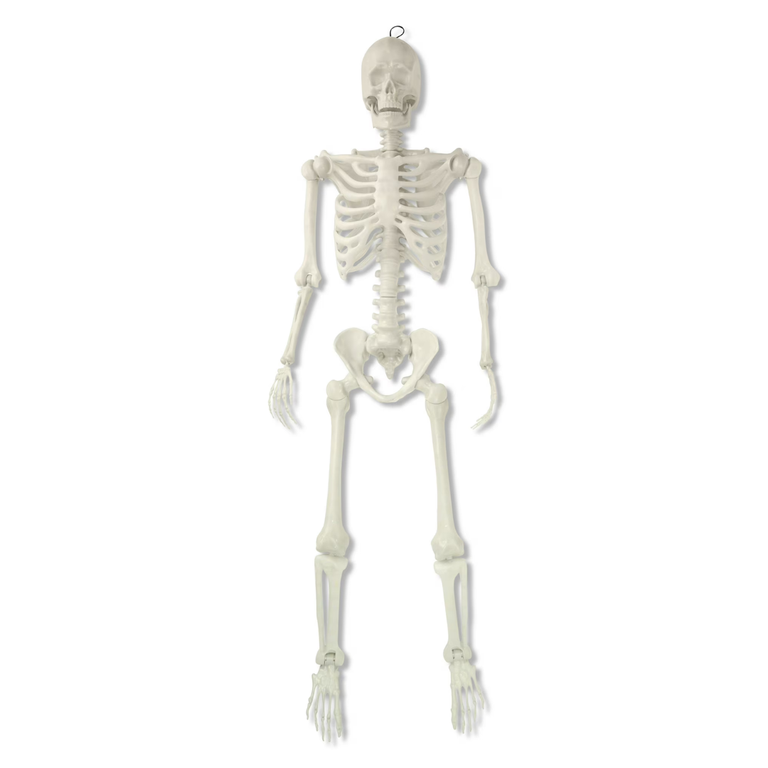 60" Way To Celebrate Poseable Outdoor Skeleton Decor