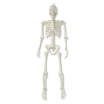 60" Way To Celebrate Poseable Outdoor Skeleton Decor