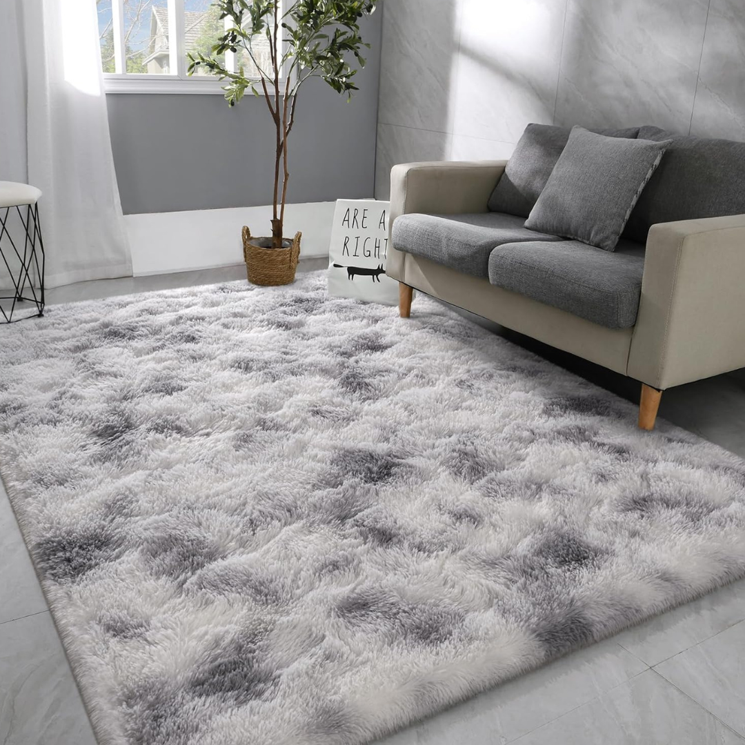 4' x 6' Large Super Soft Fluffy Modern Area Rug
