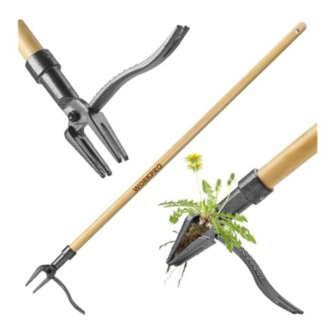 Workpro Heavy-Duty 4-Claw Cast Iron Weed Puller Tool