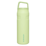24 oz Stanley IceFlow BPA-Free Cap & Carry Water Bottle