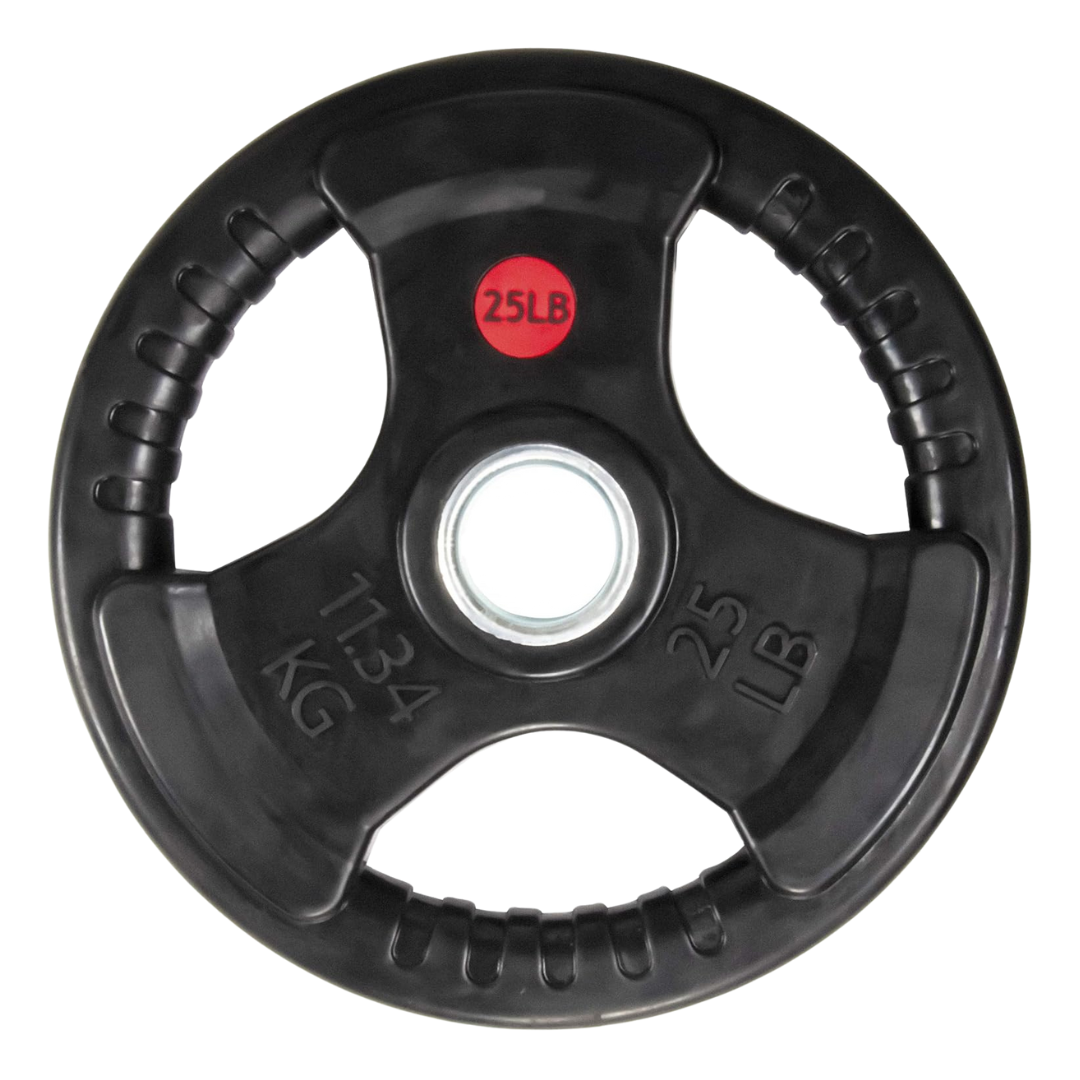 25-Pound BalanceFrom Rubber Coated Cast Cast Iron Weight Plate