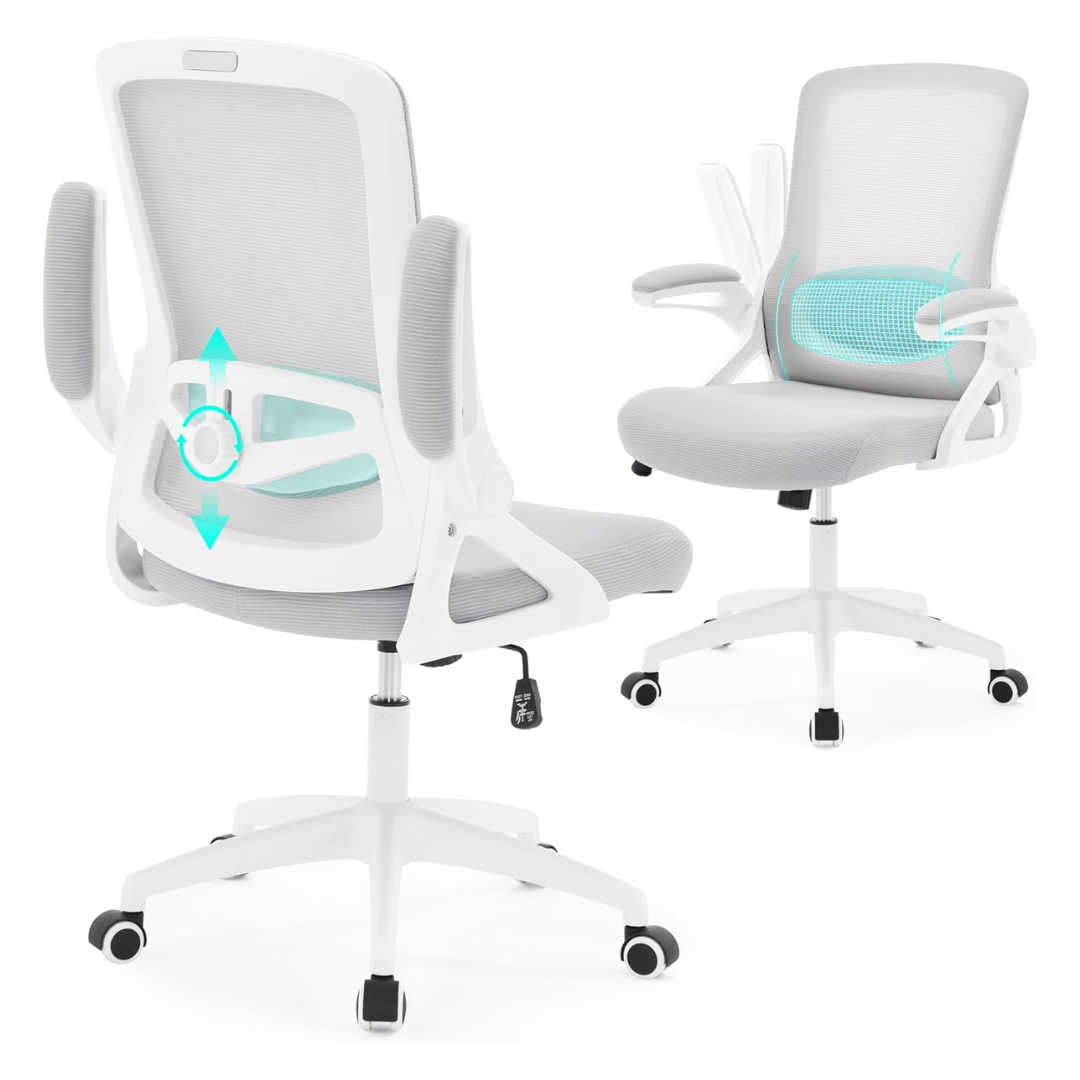 Nexthro Ergonomic Office Desk Chair With Lumbar Support