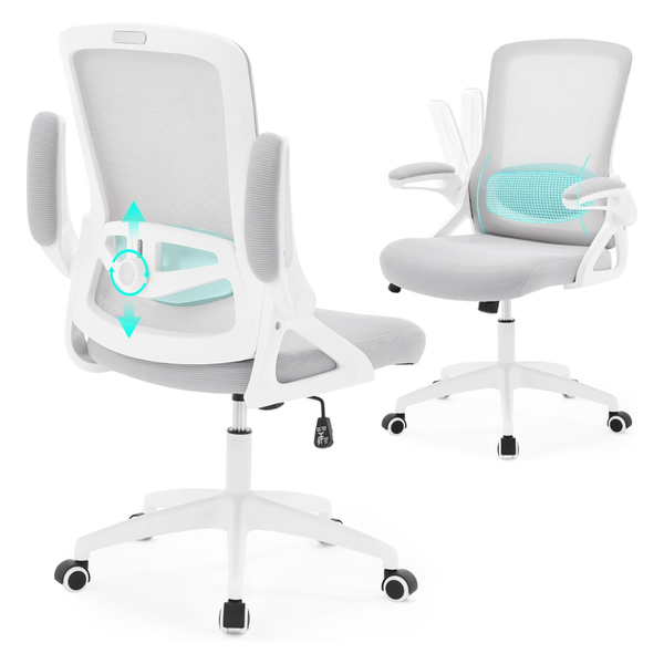 Nexthro Ergonomic Office Desk Chair With Lumbar Support