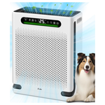 FreAire Home Large Room Up To 2600 Ft2 HEPA Air Purifier