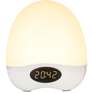Portable Dimmable Egg Night Light With Timer & RGB Colors